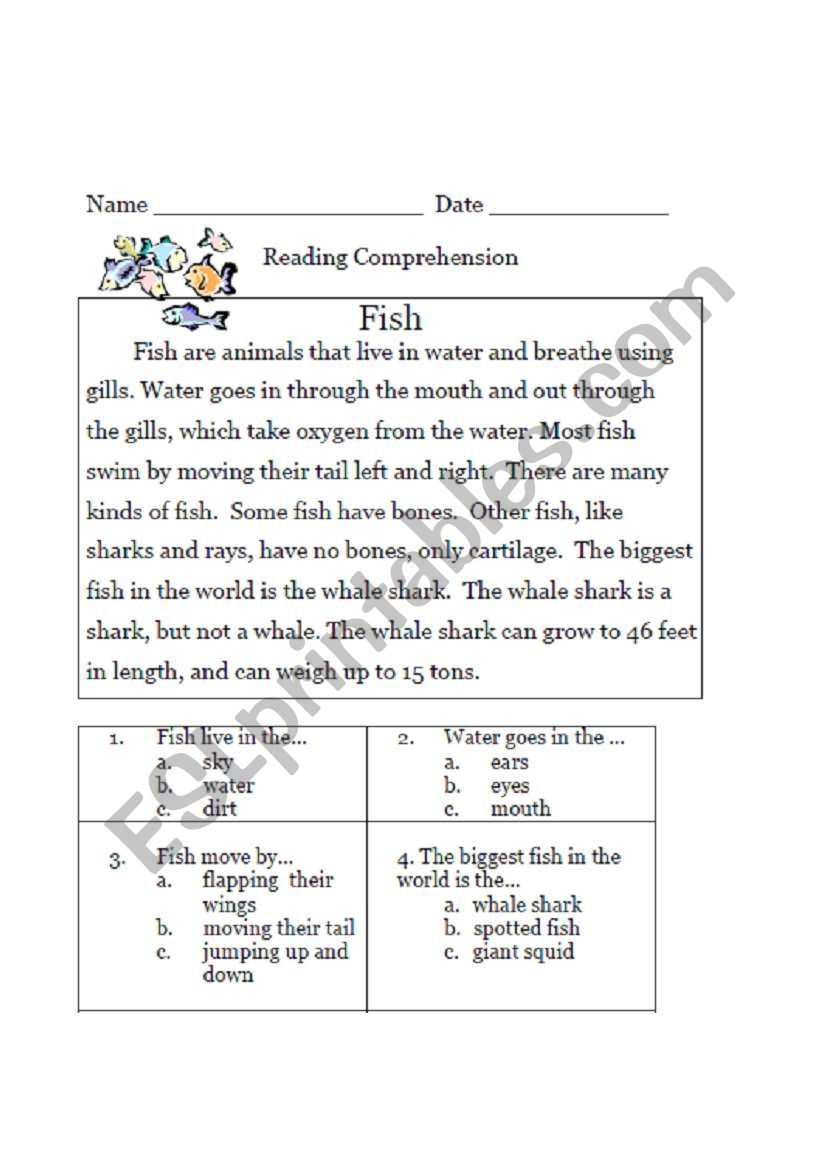 fish worksheet