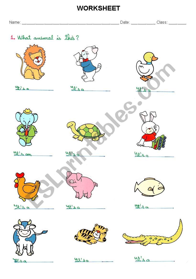 animals worksheet