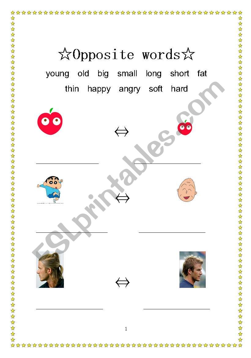 opposite words worksheet