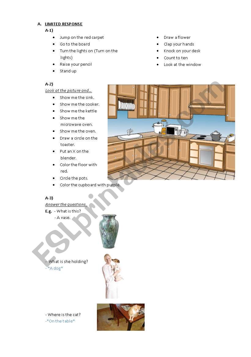 Limited Response Questions worksheet