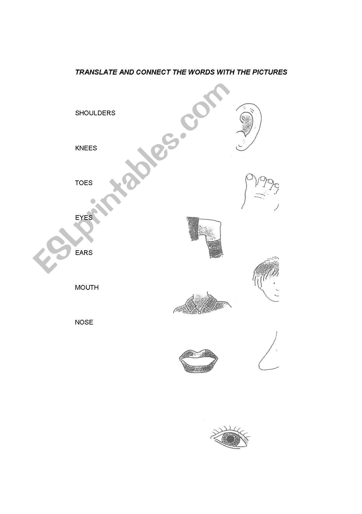Body parts worksheet
