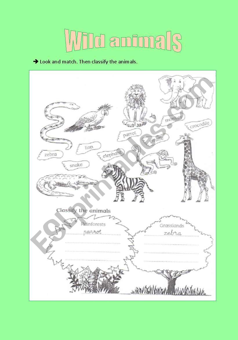 Wild animals worksheet