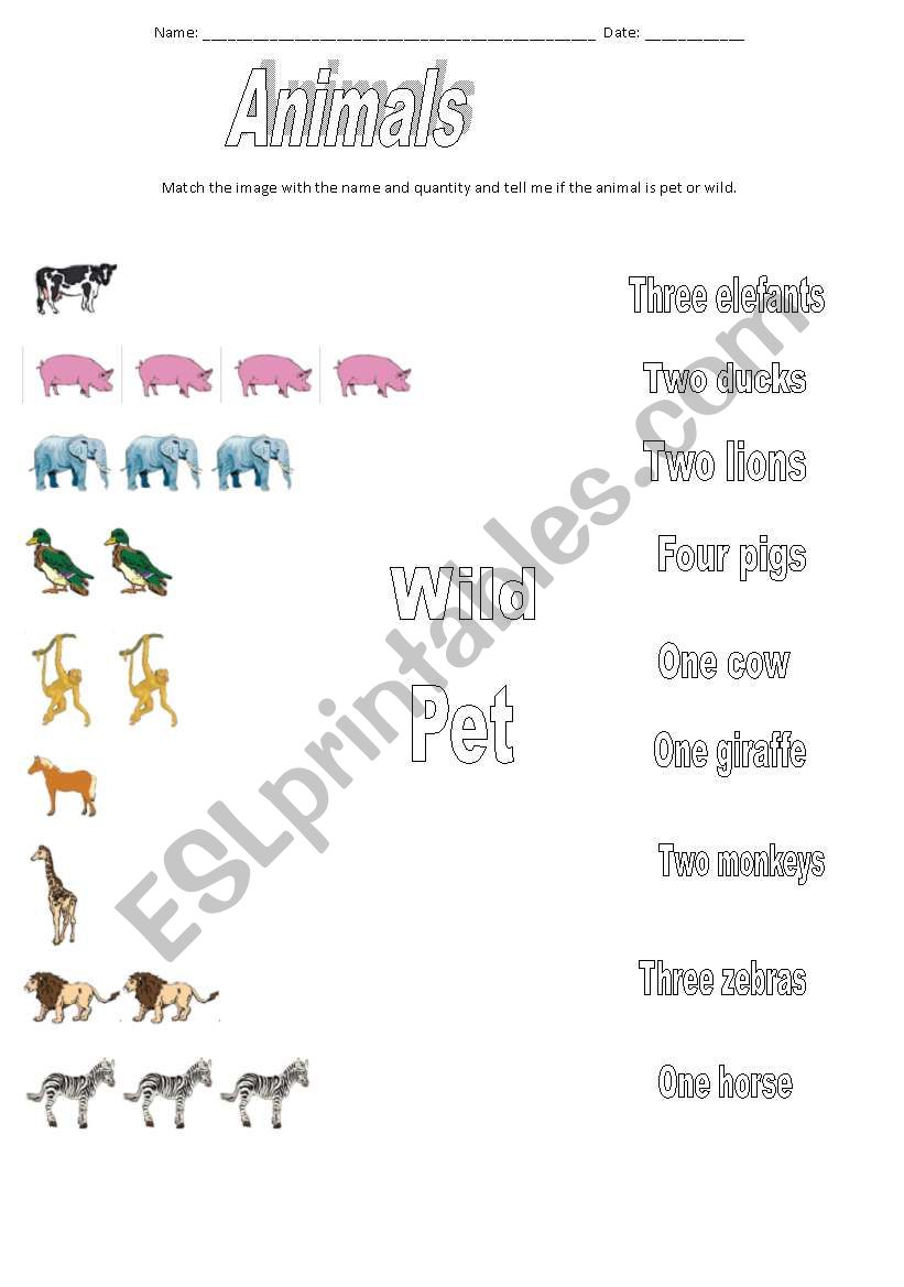 Animals worksheet