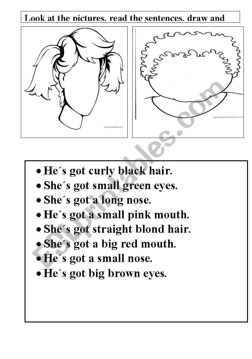 Parts of the face. worksheet