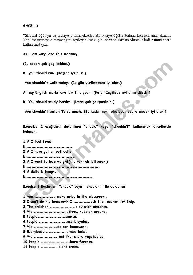 should worksheet