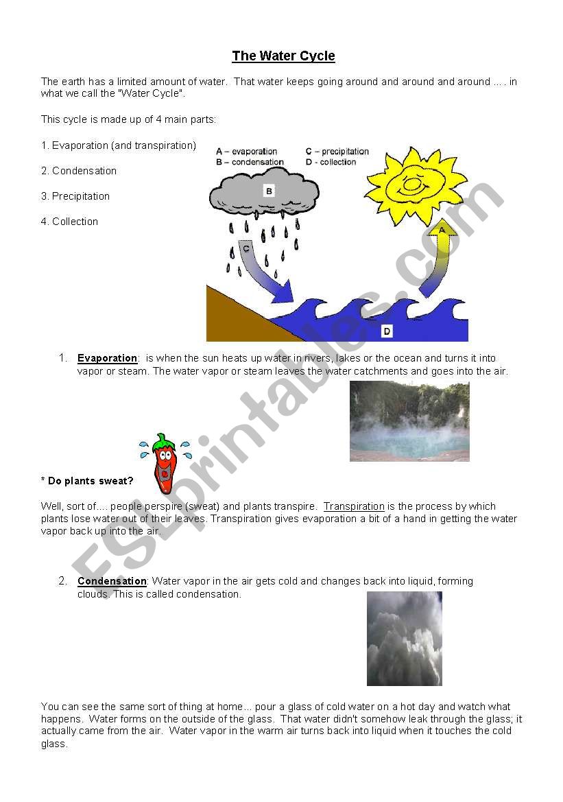 Water Cycle worksheet