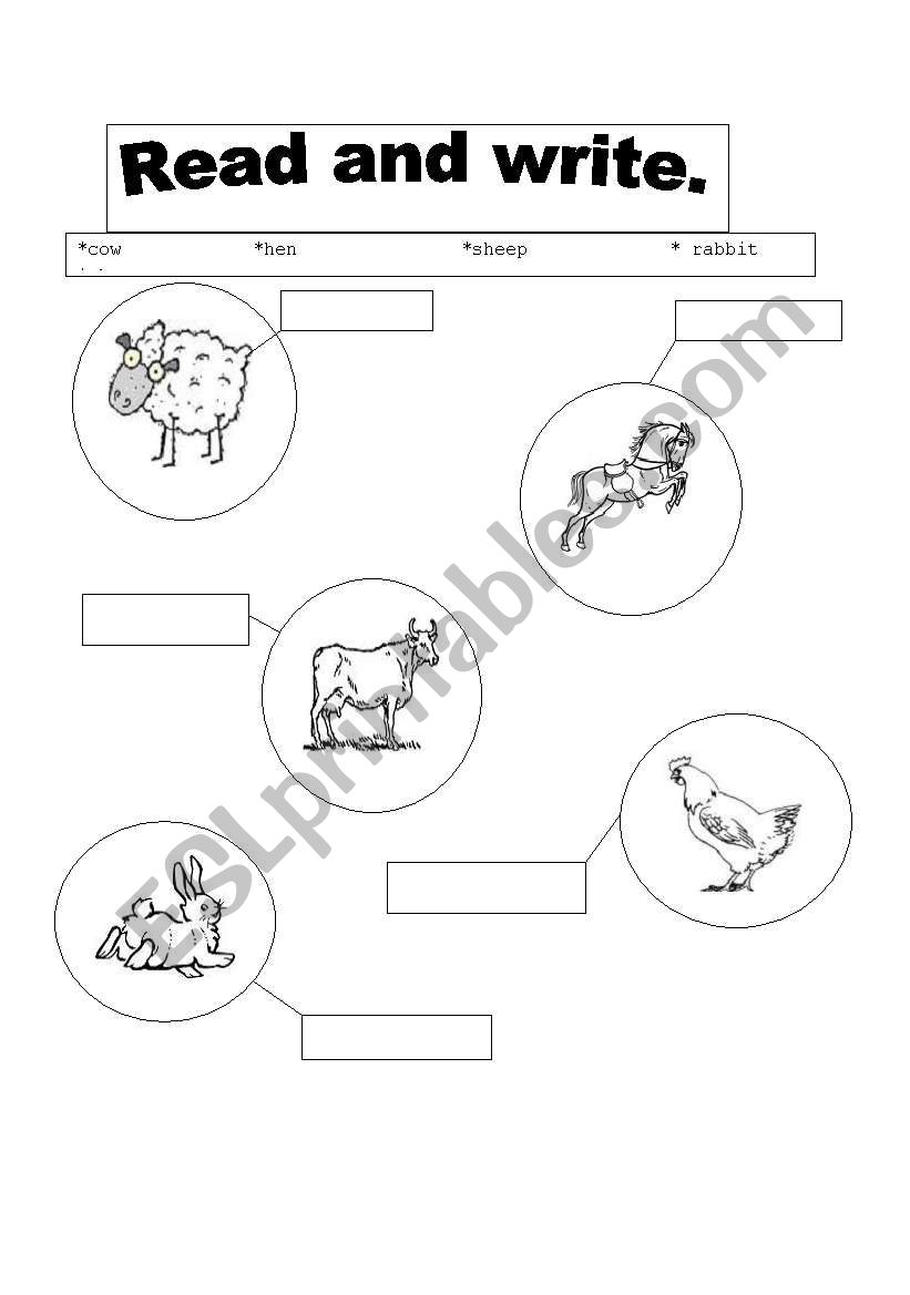 animals worksheet