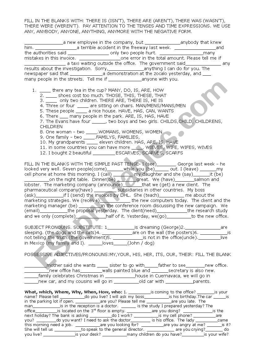 beginners grammar worksheet worksheet