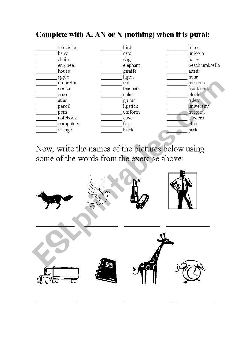 Indefinite Articles  worksheet