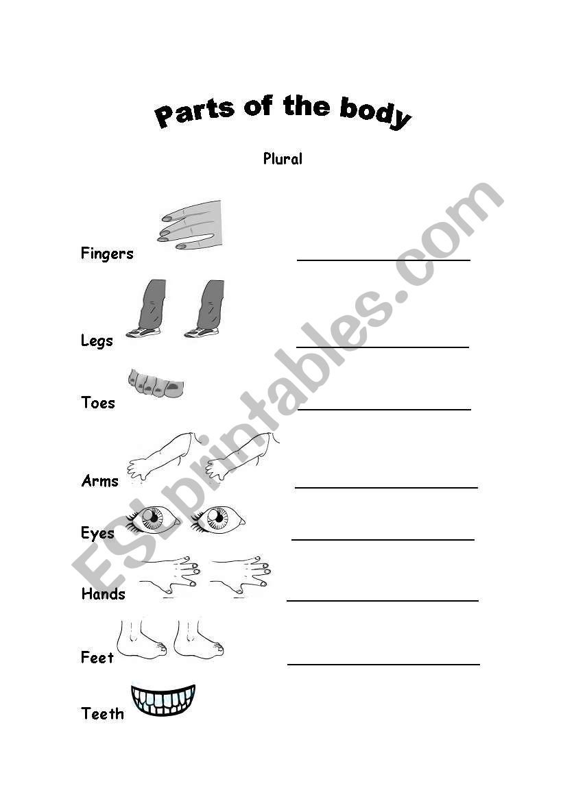 parts of the body worksheet