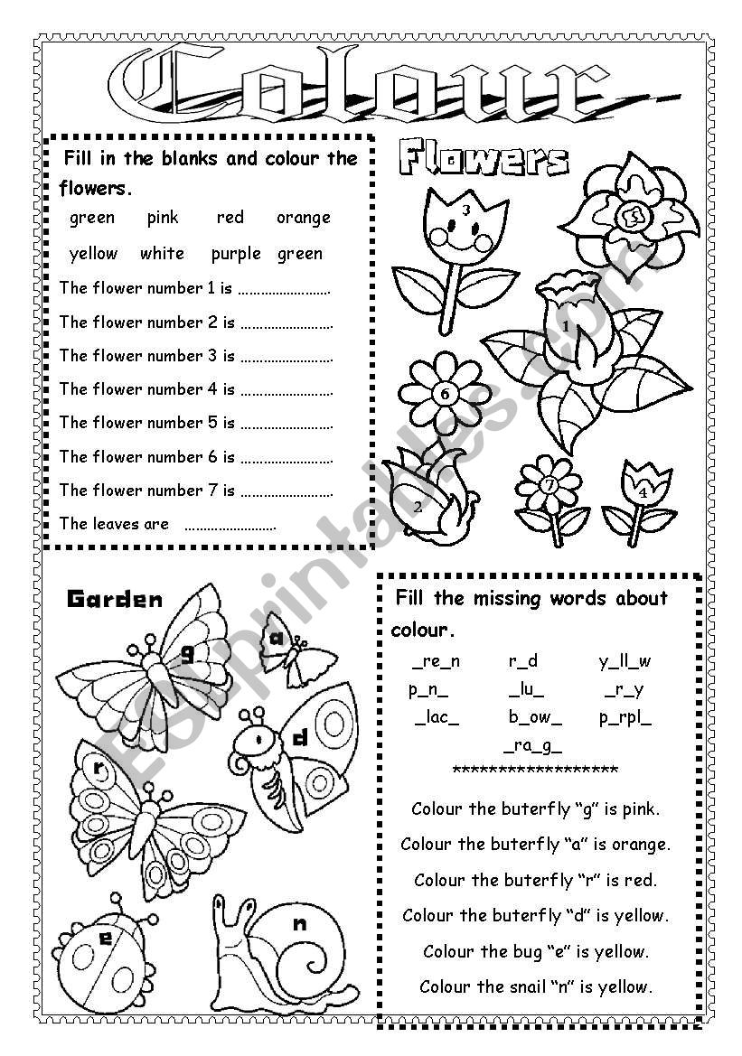 Colour worksheet