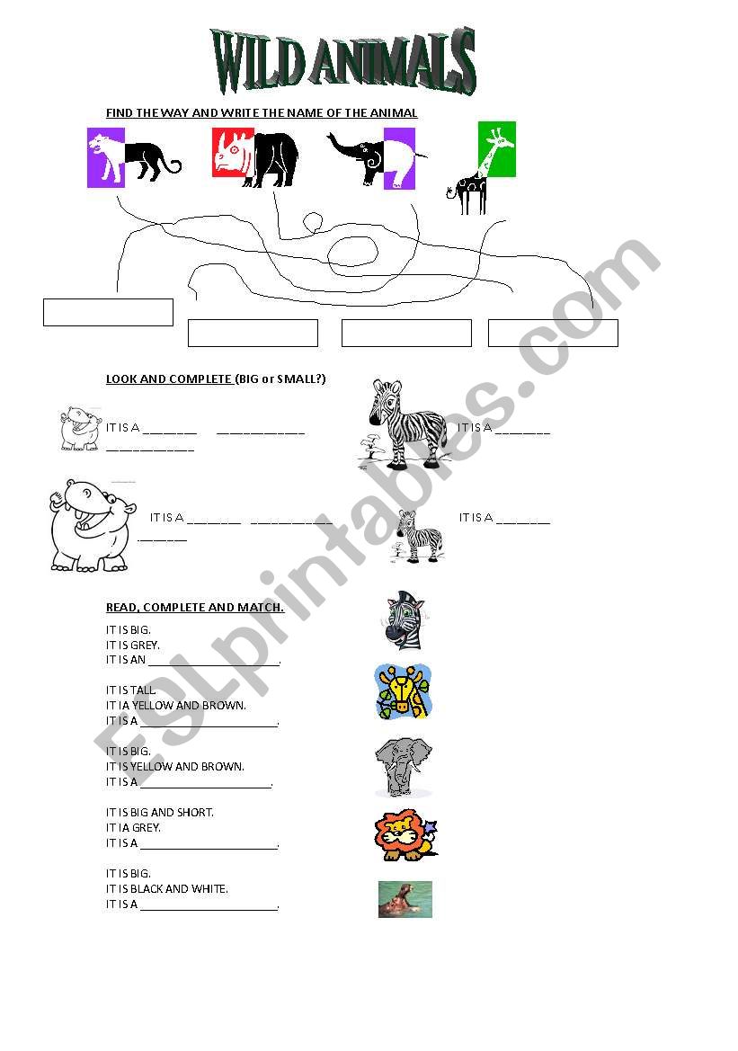 WILD ANIMALS worksheet