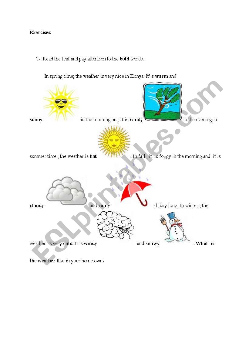 weather conditions worksheet