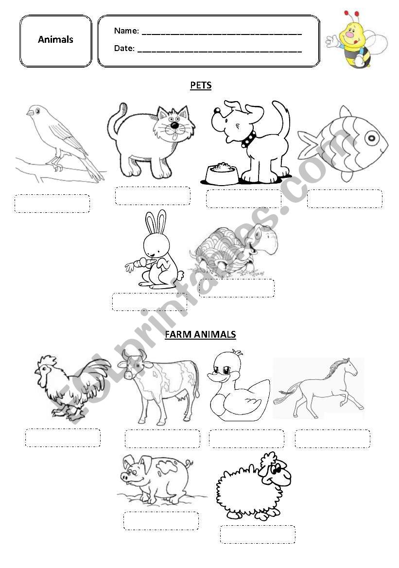 The animals worksheet