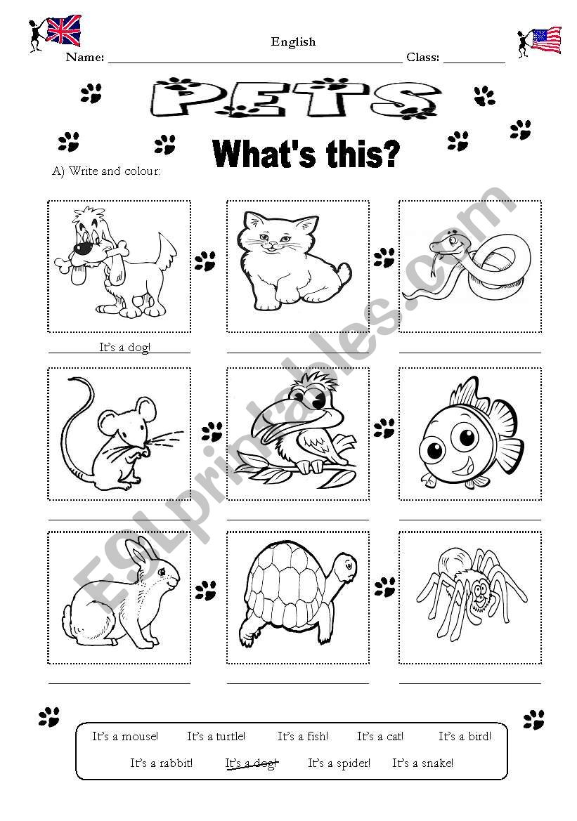 Pets  worksheet