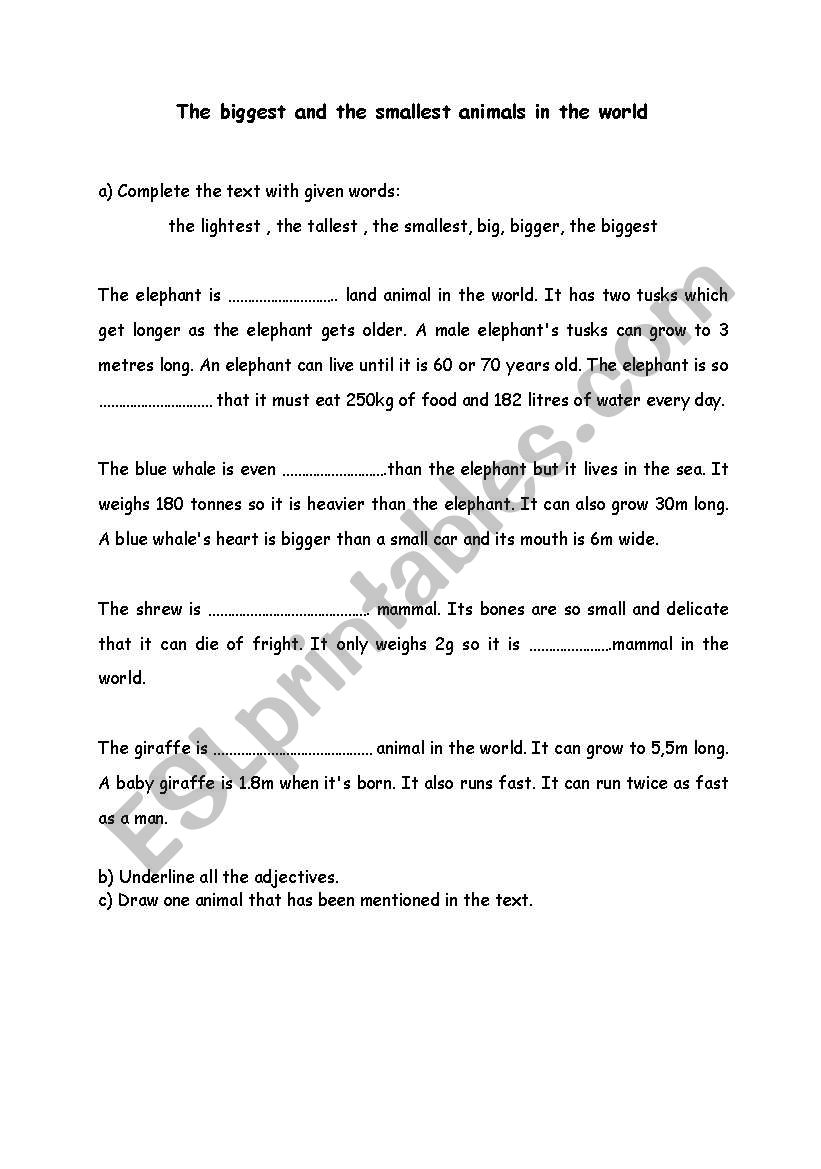 comparison of adjectives worksheet