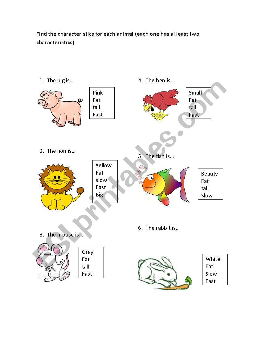 Animal Characterisctics worksheet
