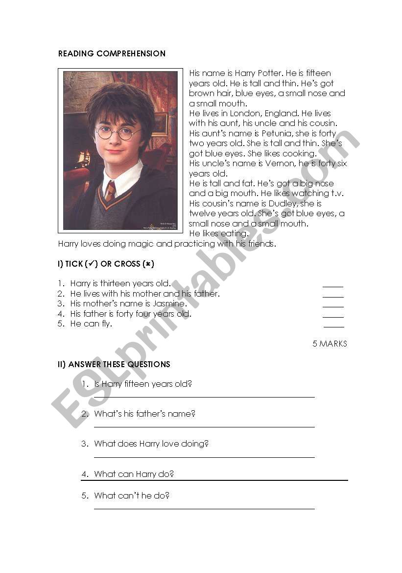 reading comprehension worksheets harry potter