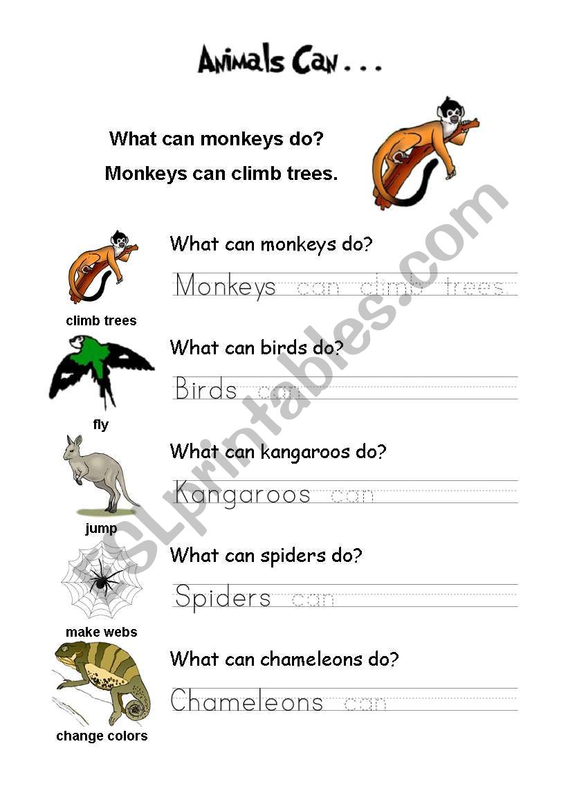 animals can worksheet