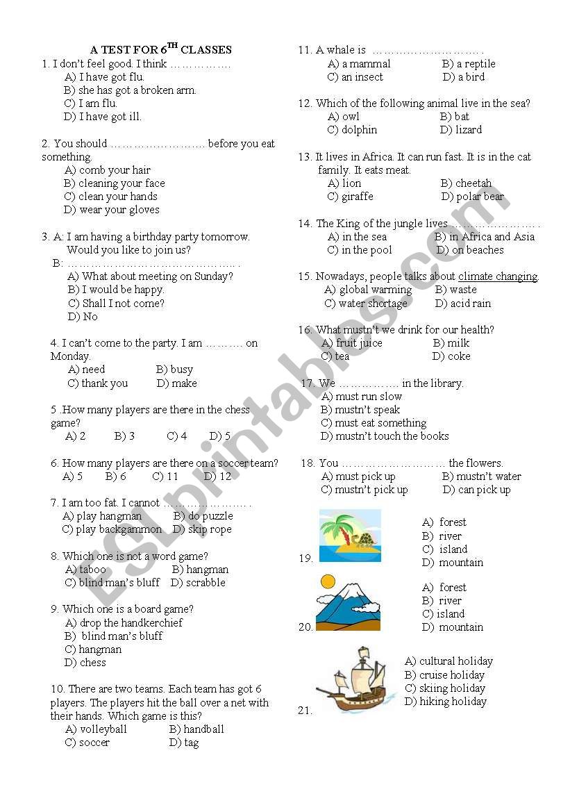Multiple Choice Test worksheet