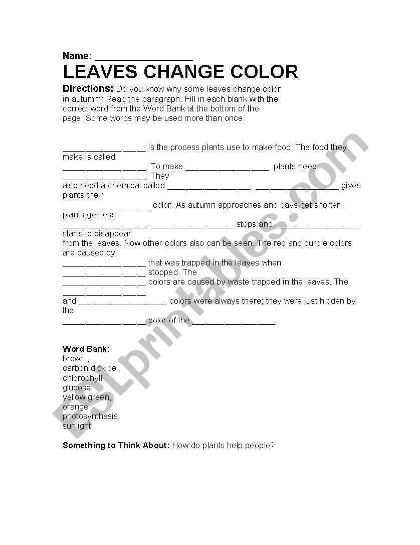 Leaves change color worksheet