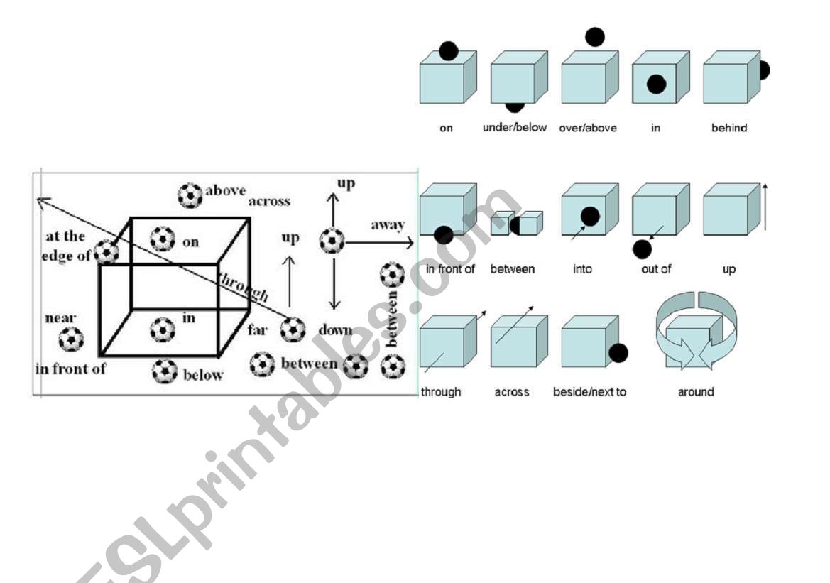 Preposition of place worksheet