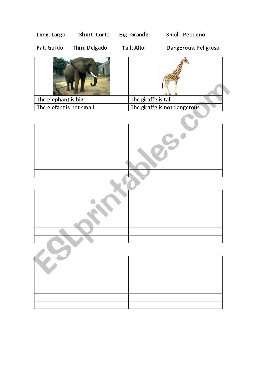 animals worksheet