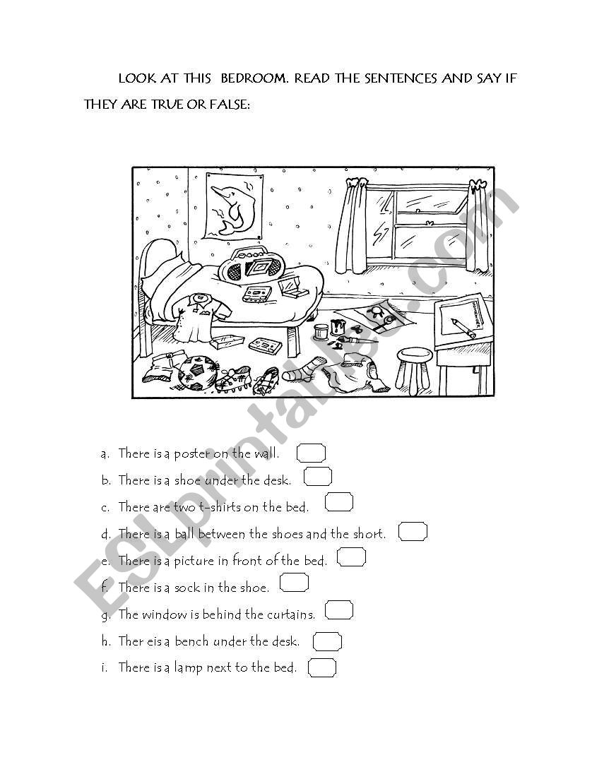 True or False worksheet