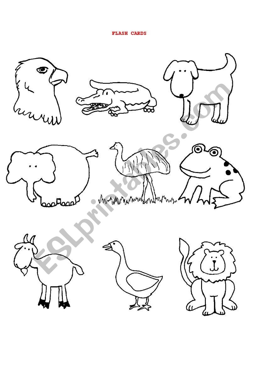 SOME ANIMALS worksheet