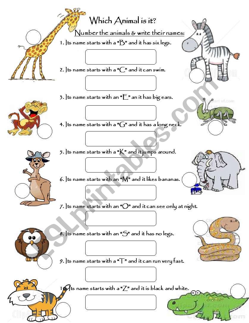 animals worksheet