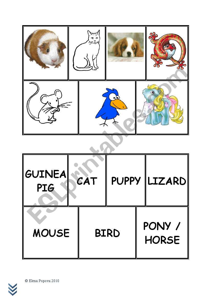 Pets Bingo cards worksheet