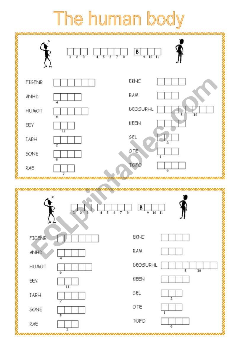 The human body worksheet