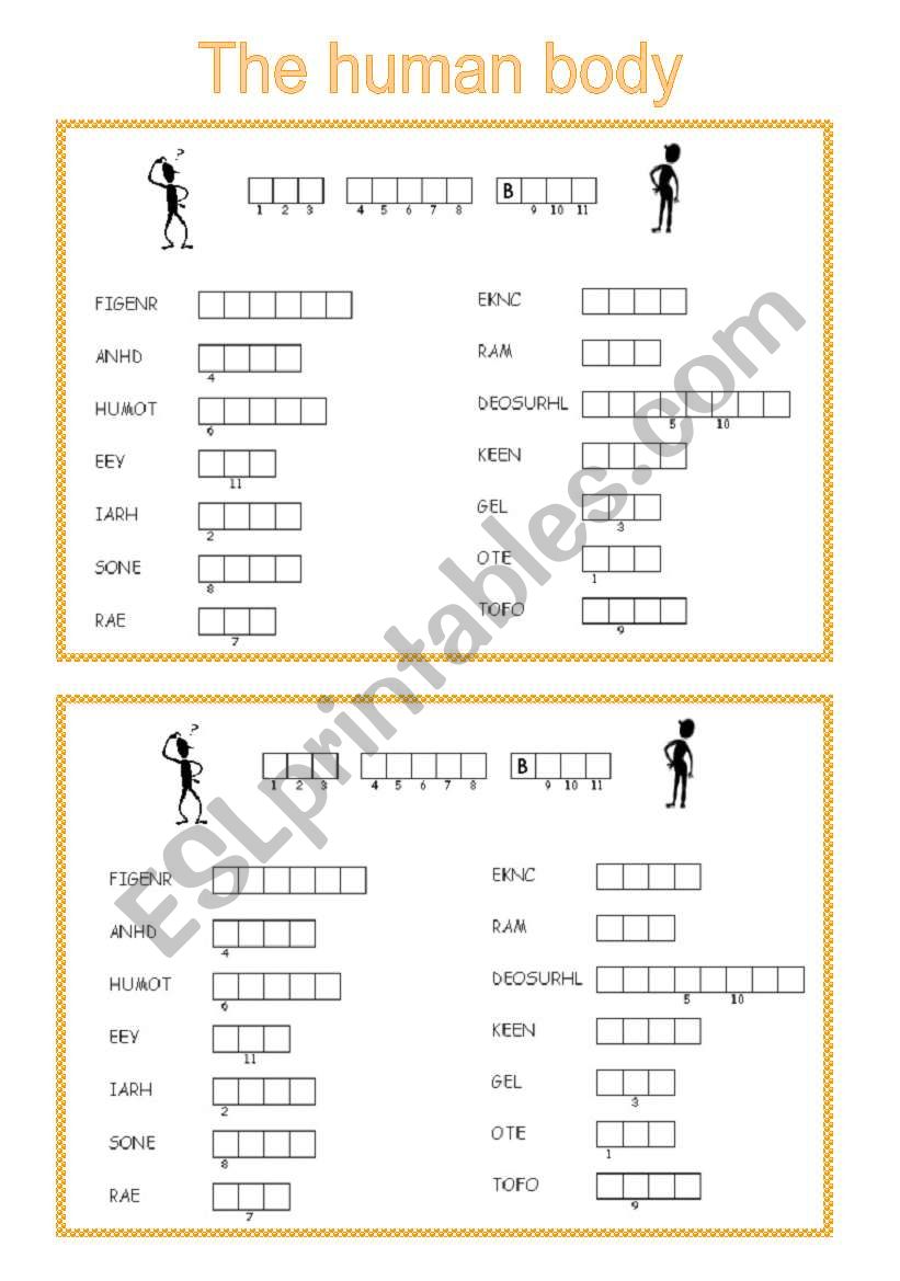 The human body worksheet