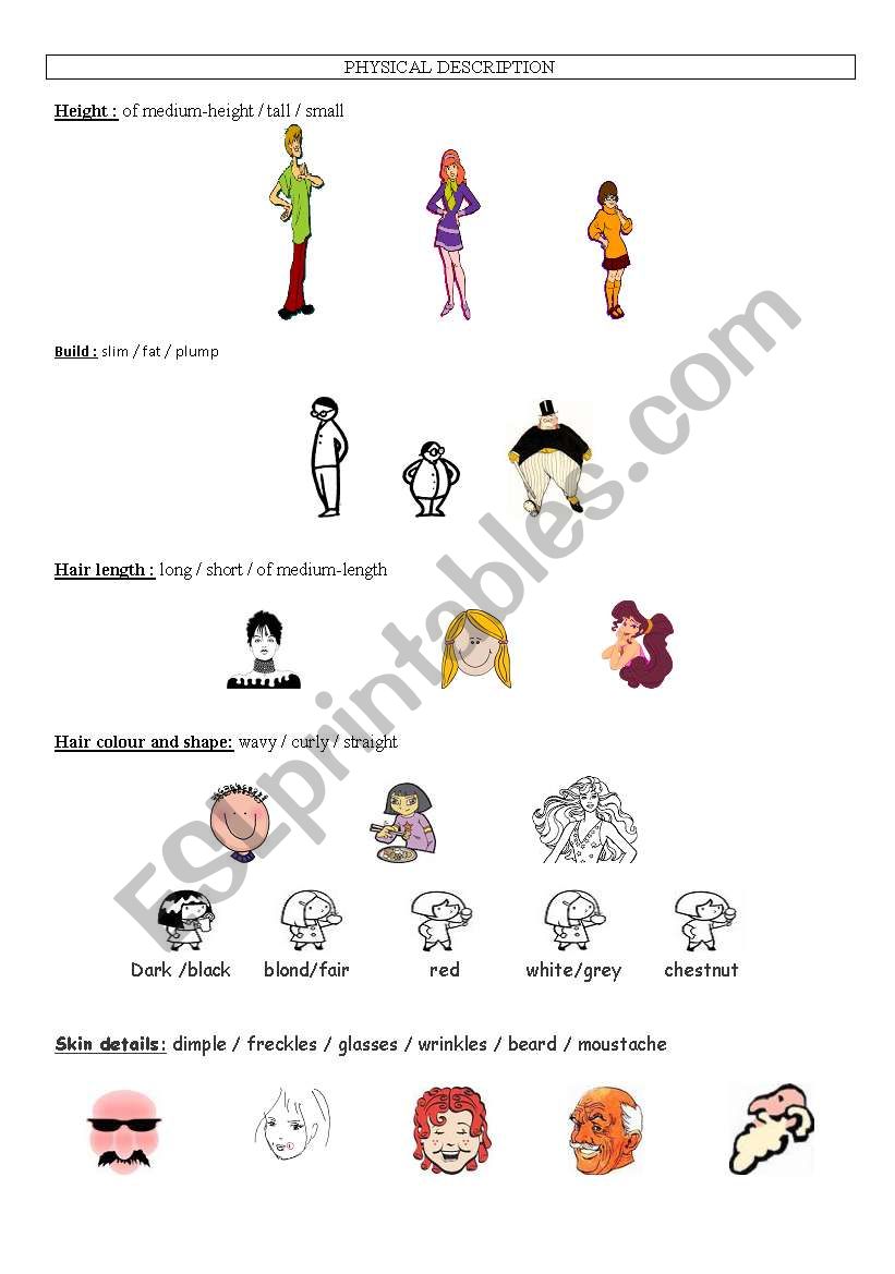 Physical description worksheet