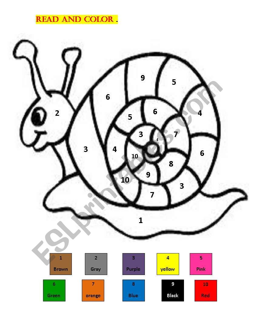 read and color worksheet