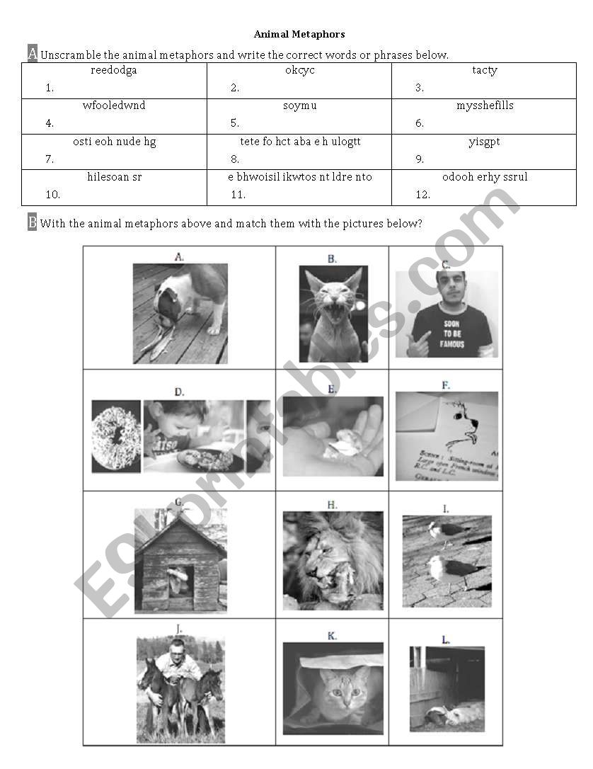 Animal Metaphors worksheet