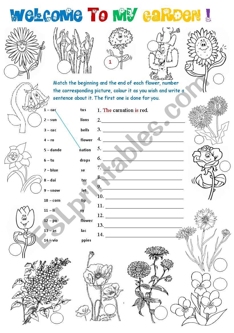 Welcome to my garden! - 2 pages - 3 activities