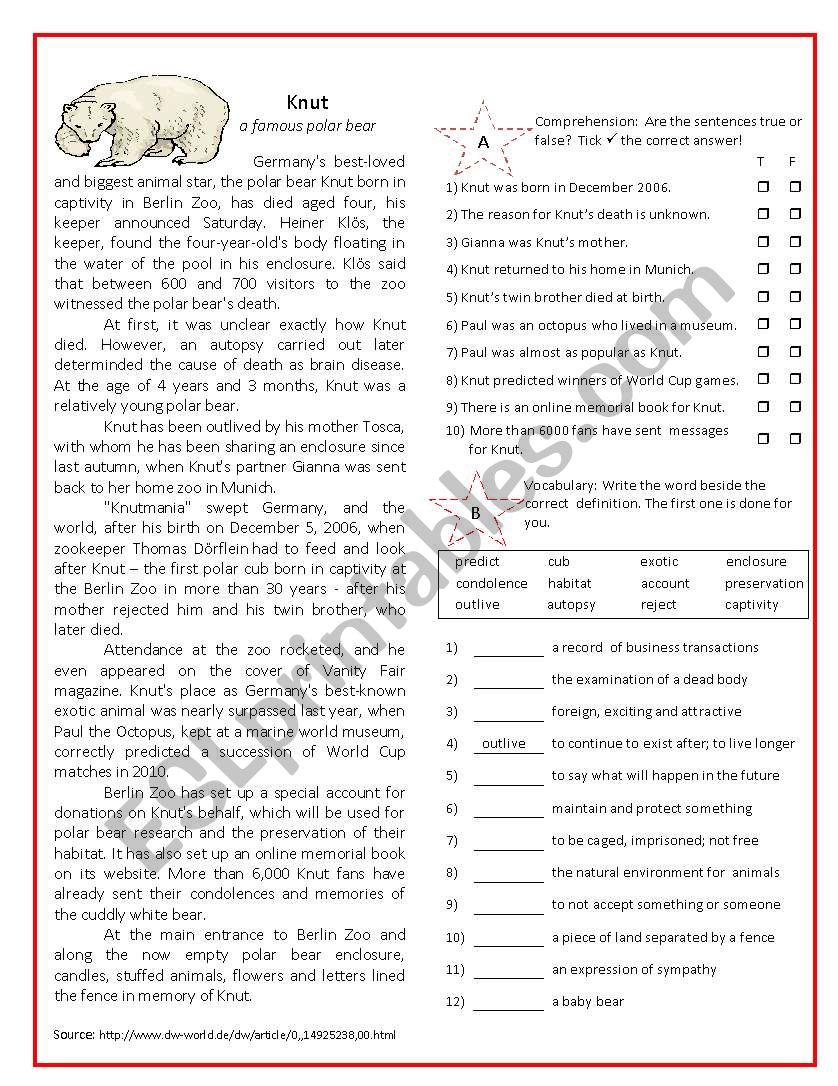 Knut - a famous polar bear worksheet