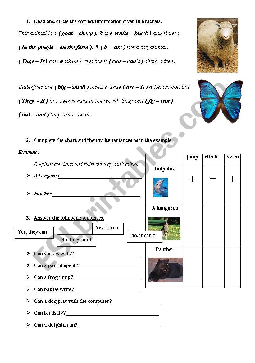 Animals worksheet