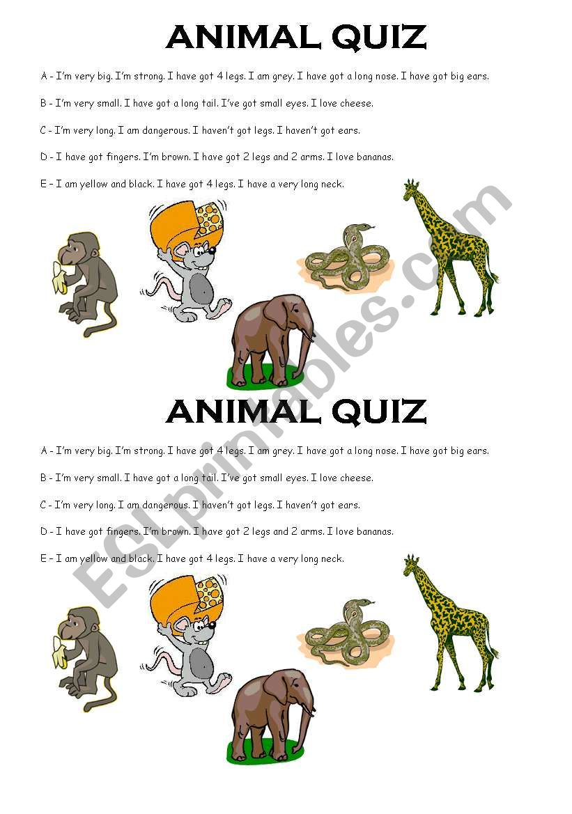 Animal Quiz worksheet