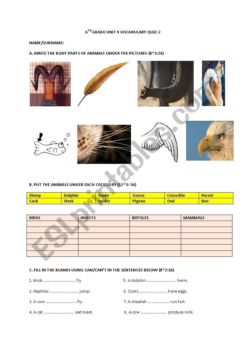 Animal Types and Body Parts Quiz