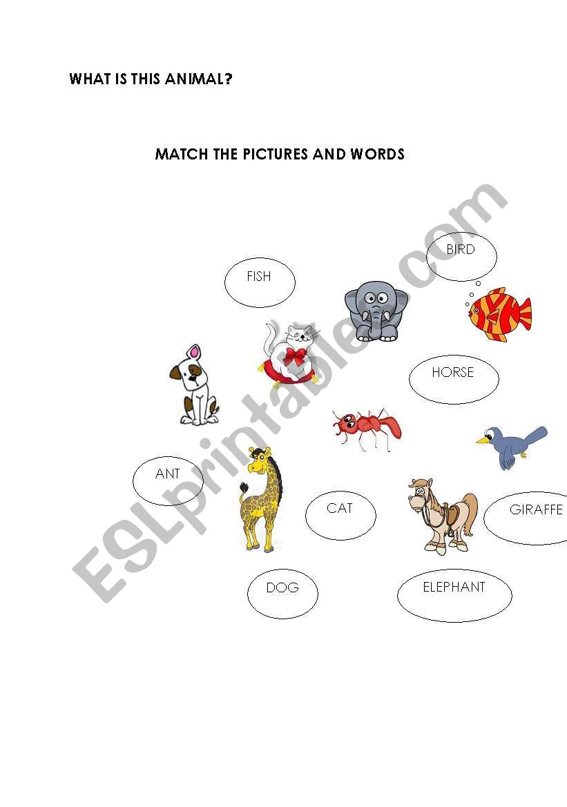 animal worksheet