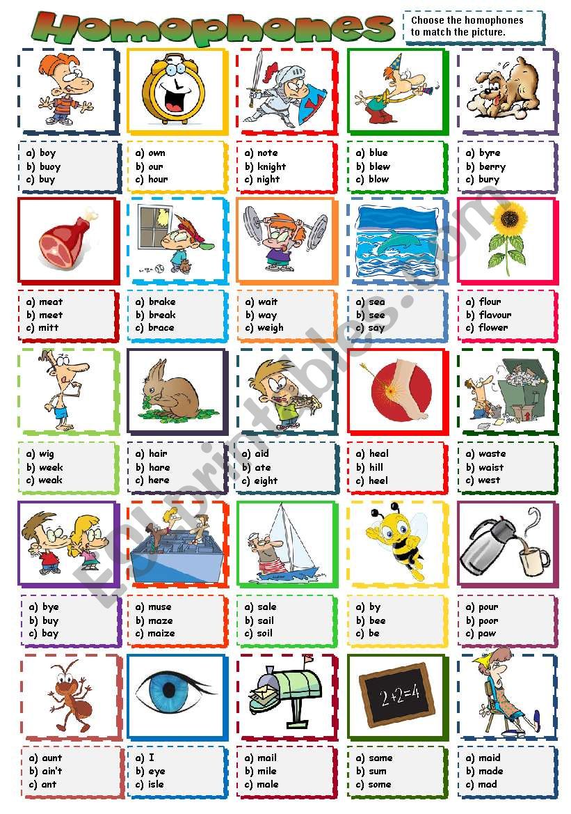 Homophones Multiple Choice Worksheet