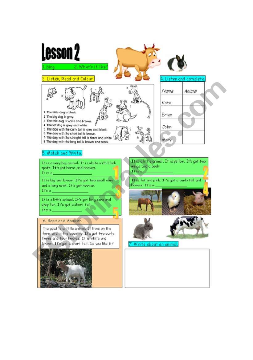 animals worksheet