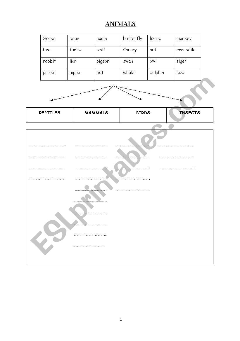 animals worksheet