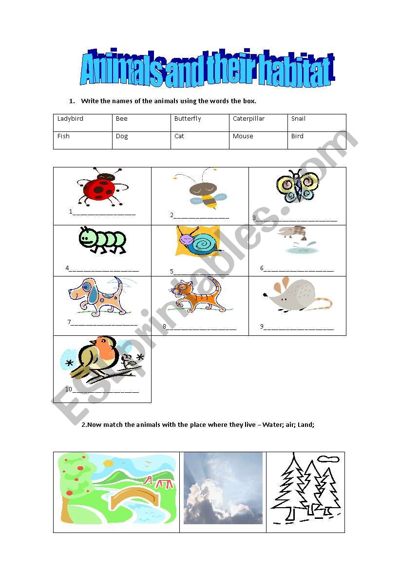 Animals and their habitat worksheet