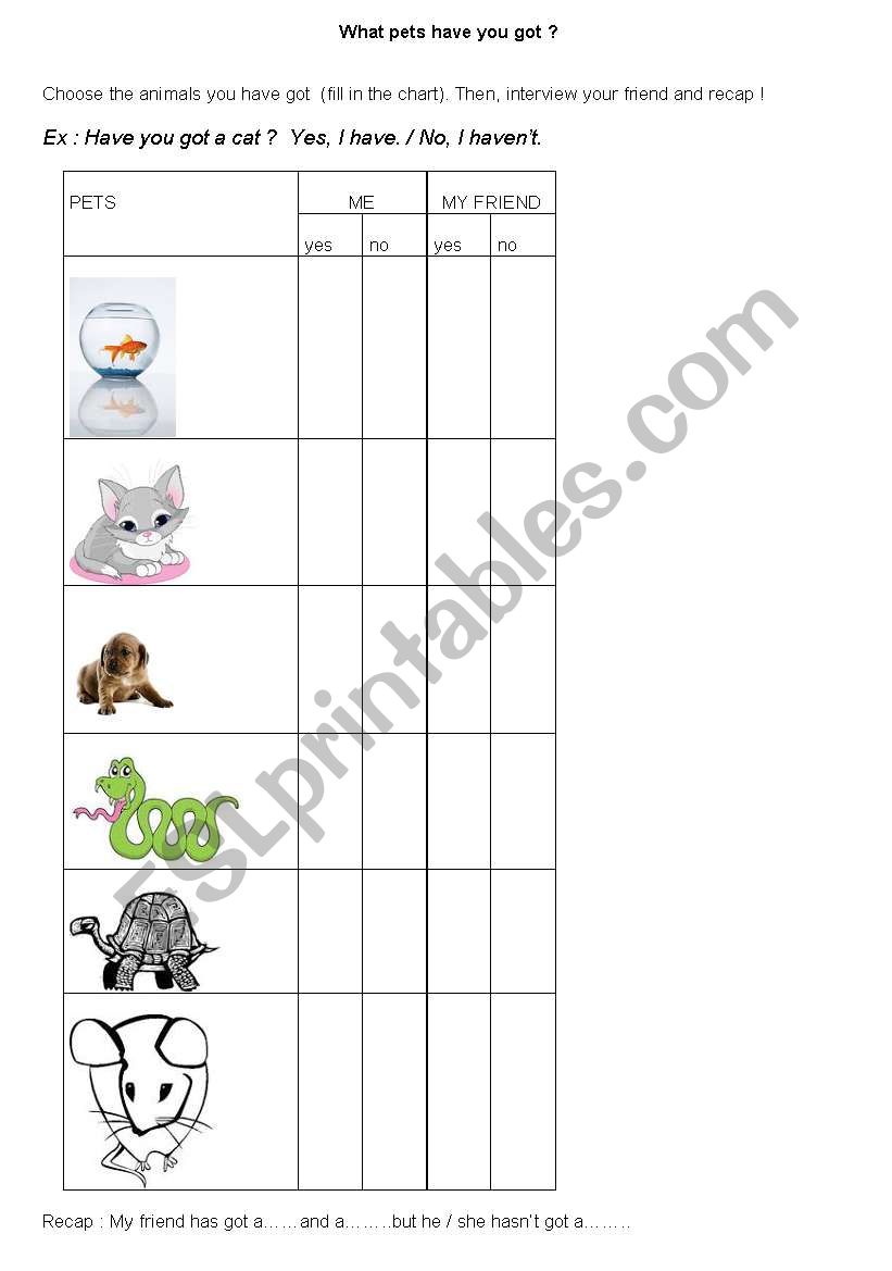 What pet have you got? worksheet