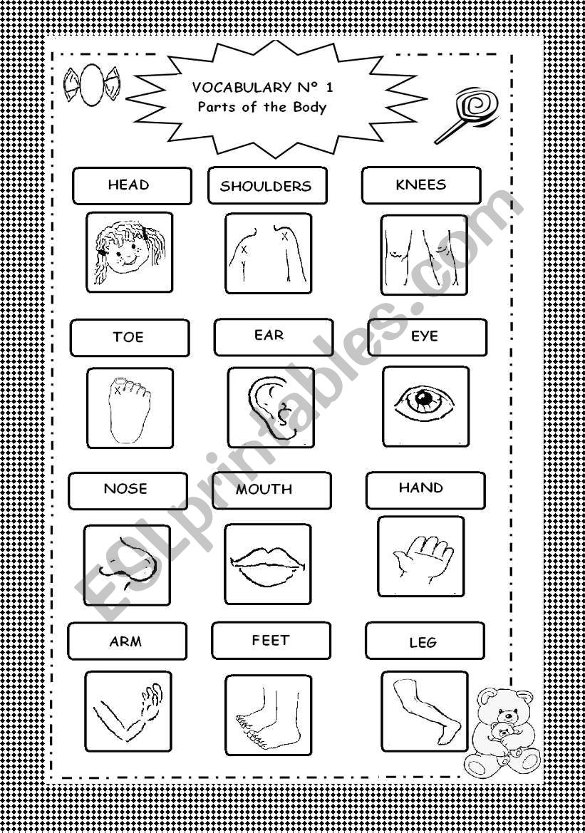Parts of the Body - B&W - 2 pages: Picture Dictionary and Worksheet