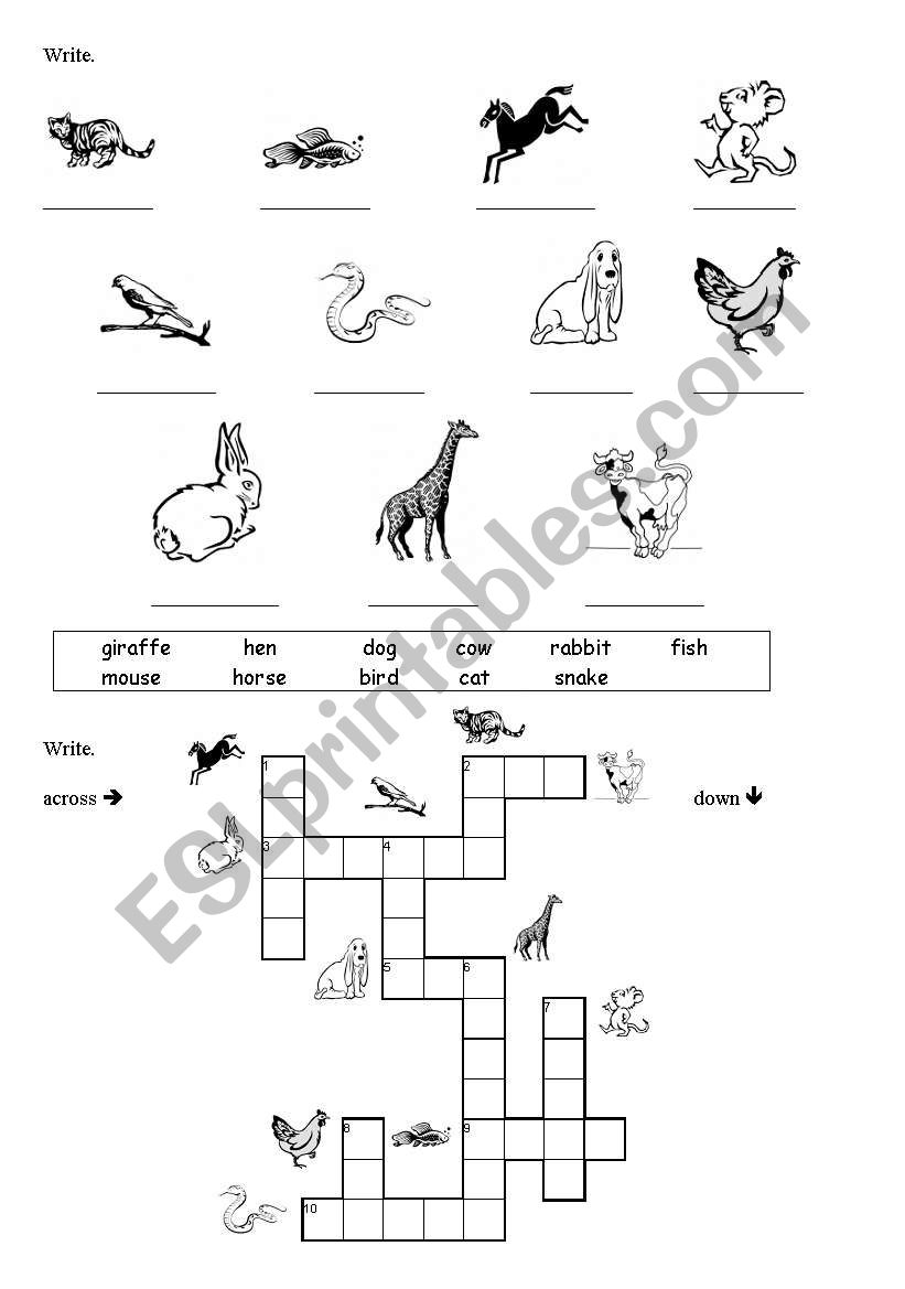 Animals Crossword worksheet