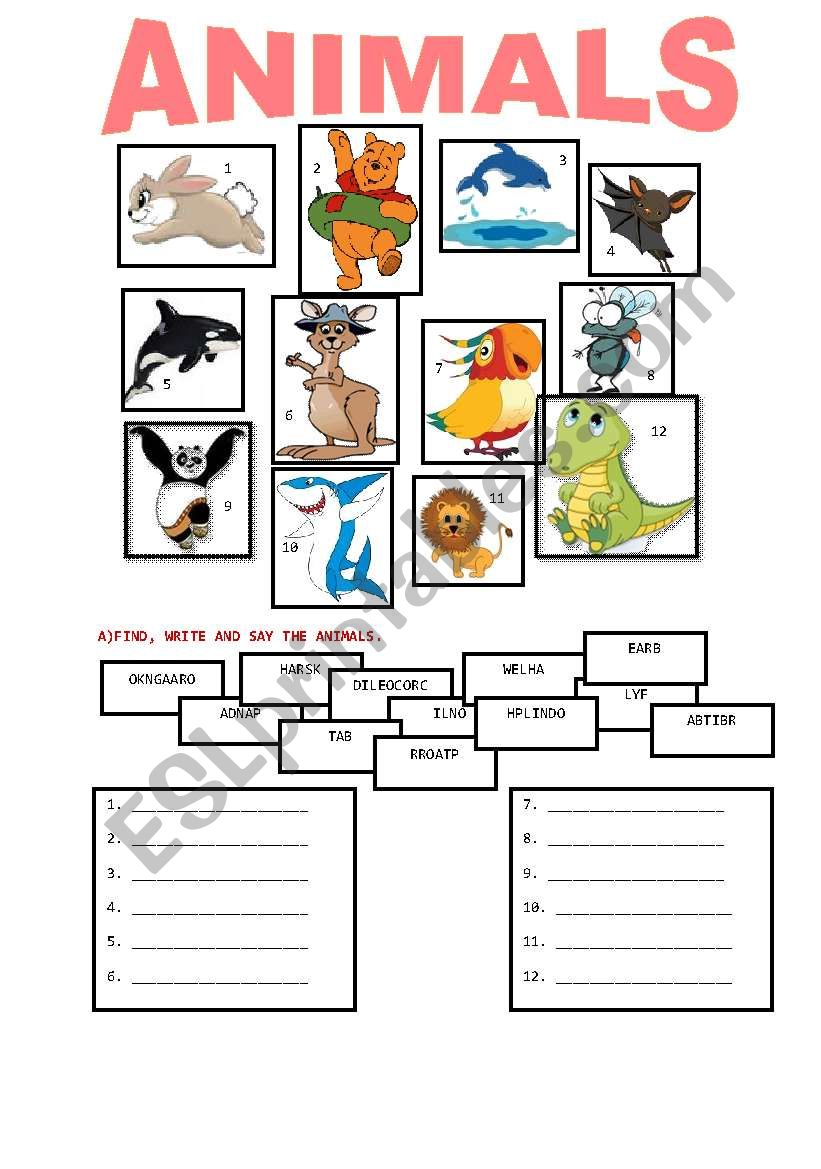 ANIMALS worksheet